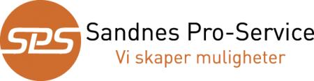 13 - Pro-Service